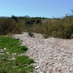 El río Serpis está vivo