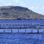 La UPV desarrolla un sistema de bajo coste para lograr una acuicultura más sostenible