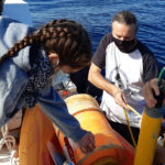 New PhD Program in Marine and Coastal Science and Technology