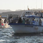 Digitalización y valorización de la pesca en el Mediterráneo español