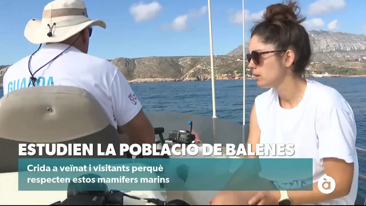 Captura À Punt
